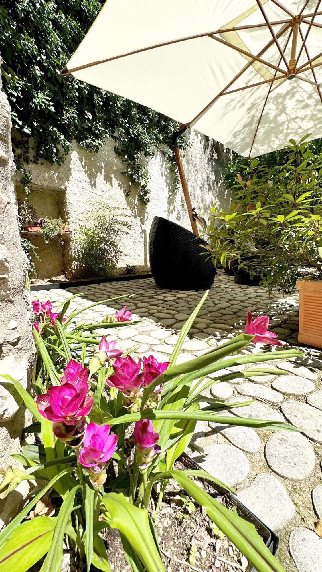 Borgo Dei Sogni Lejlighed San Felice del Benaco Eksteriør billede